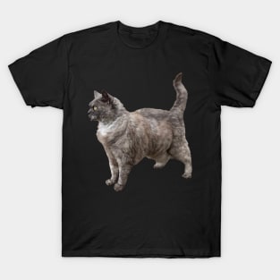 Selkirk Rex Cat T-Shirt